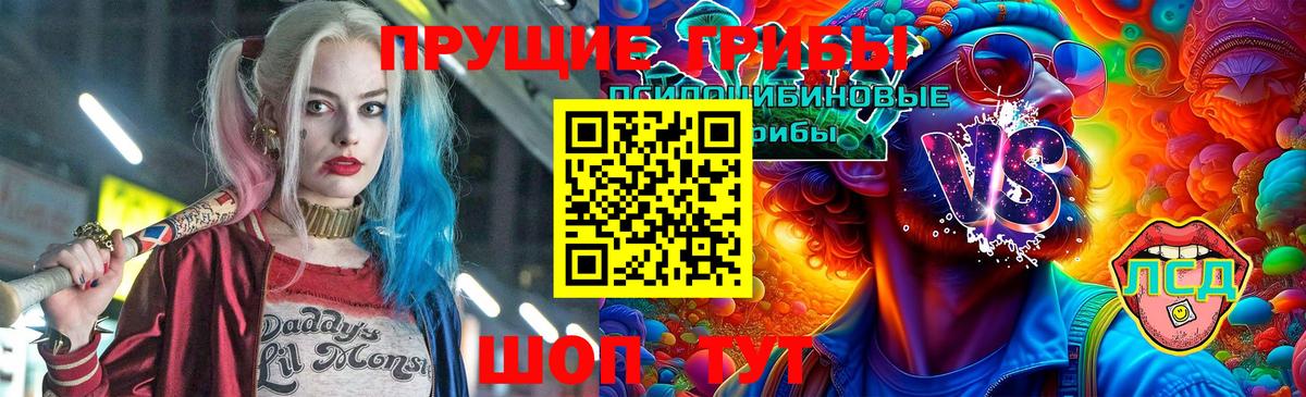 Казань  Галлюциногенные грибы Psilocybe  Вход с VPN 